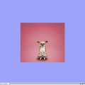 yoggydoggy